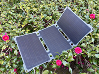 ���o�C�����z�d�r �\�[���[�M�A�@SG0521MNE